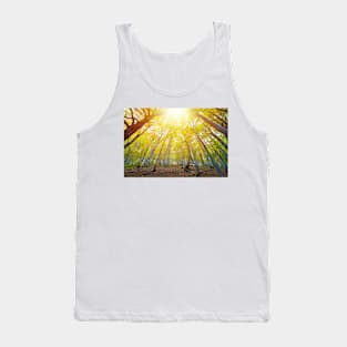 Beech forest illuminated by the bright yellow sunlight Tank Top